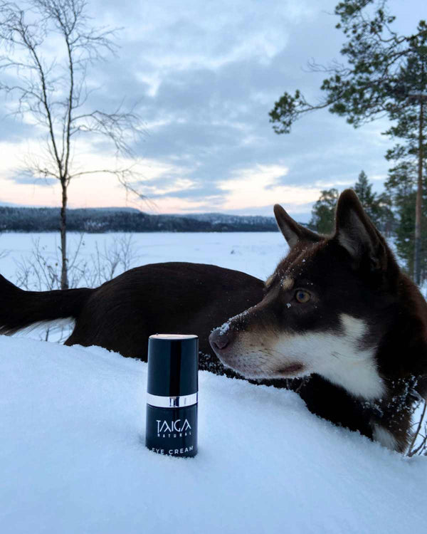 Taiga Eye Cream Sensitive - silmänympärysvoide, 15 ml