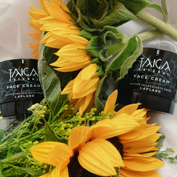 Taiga Chaga Night Cream Sensitive OUTLET